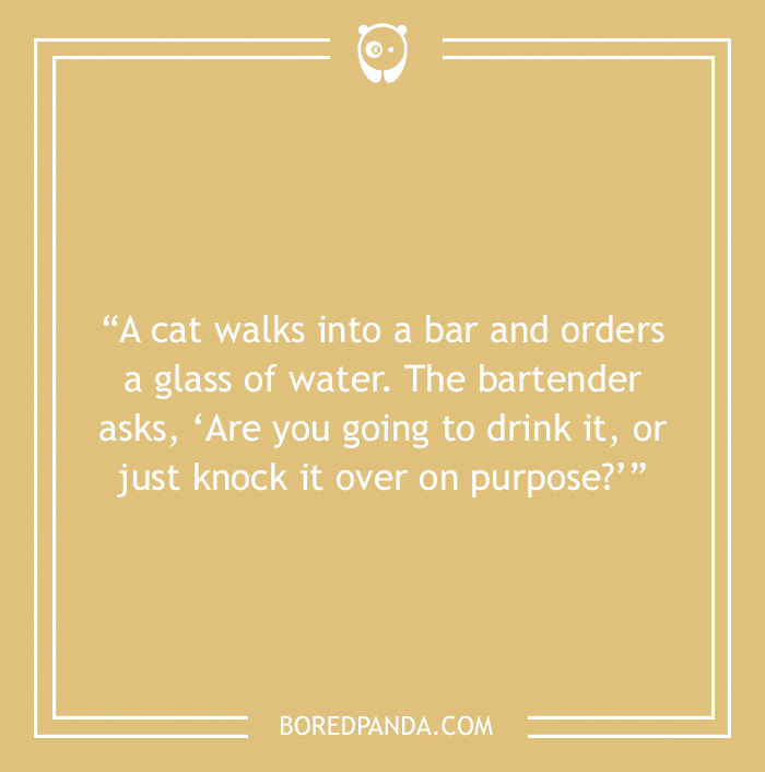 Bar joke about cat walking into a bar and ordering water 