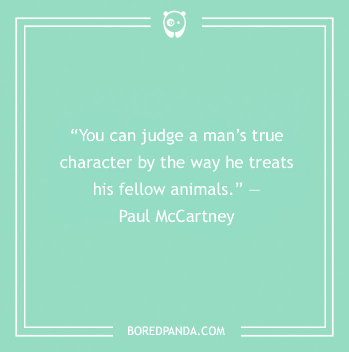 Paul McCartney quote about treating animals