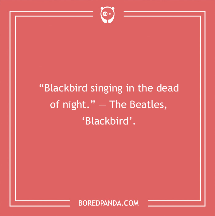 The Beatles quote from the song 'Blackbird'