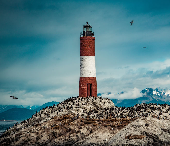 Lighthouse with birds flying around it 