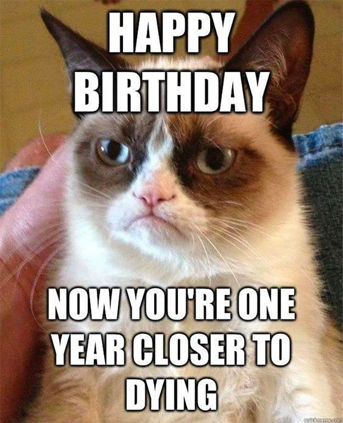 birthday meme of grumpy cat