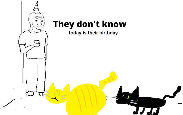 Funny cat birthday meme 