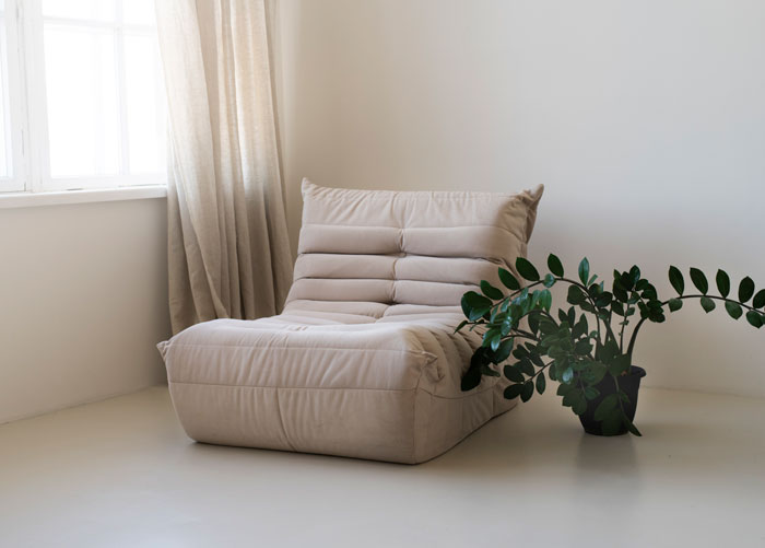 Light beige chair with plant near it 