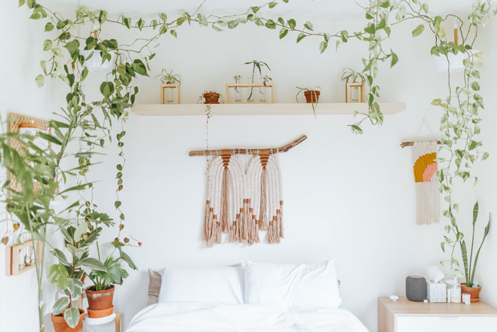 Boho decor bedroom filled with hanging and potted plants, macrame wall art, and natural light for a chic space. Boho decor bedroom filled with hanging and potted plants, macrame wall art, and natural light for a chic space.