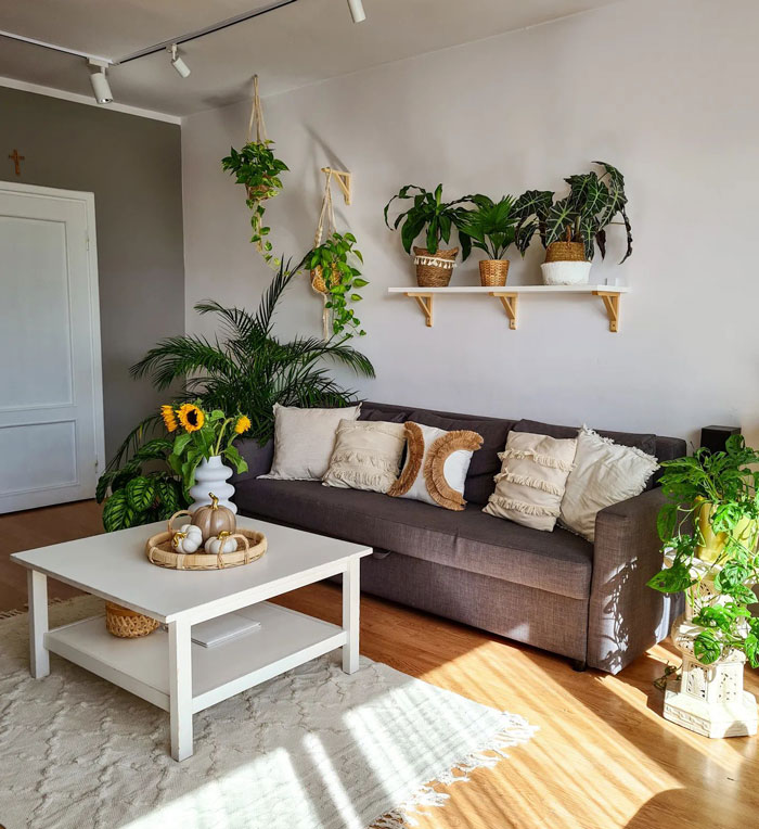 Cozy brown couch with boho decor pillows and lush green plants creating a chic boho space in a bright living room. Cozy brown couch with boho decor pillows and lush green plants creating a chic boho space in a bright living room.