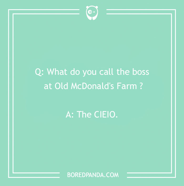 CEO of the Moo-niverse