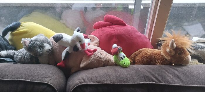 And That's Just The Few In The Living Room. We Also Have A Trio In Our Car