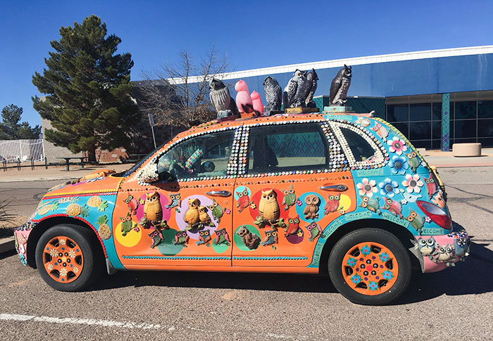 Owl Car In Arizona