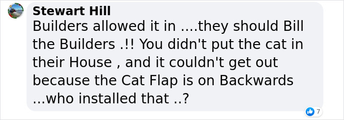 Cat Breaks Into Neighbor’s New Home, They Are Furious And Ask For $2,000 Cat Breaks Into Neighbor’s New Home, They Are Furious And Ask For $2,000