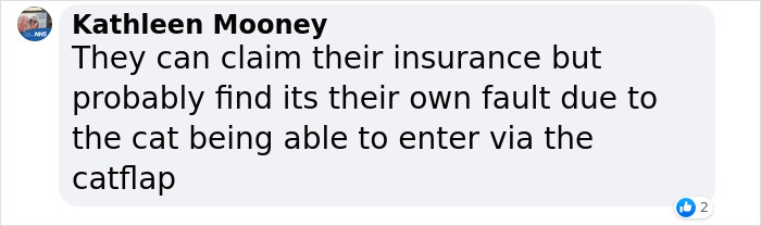 Cat Breaks Into Neighbor’s New Home, They Are Furious And Ask For $2,000 Cat Breaks Into Neighbor’s New Home, They Are Furious And Ask For $2,000
