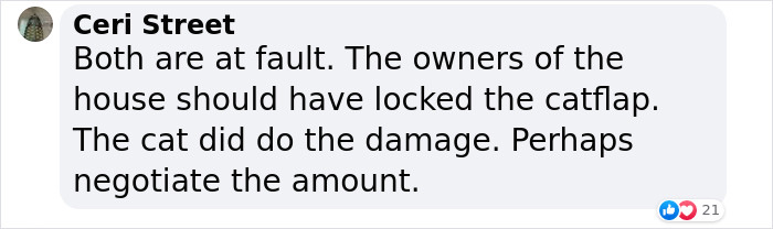 Cat Breaks Into Neighbor’s New Home, They Are Furious And Ask For $2,000 Cat Breaks Into Neighbor’s New Home, They Are Furious And Ask For $2,000