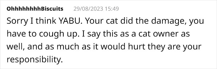 Cat Breaks Into Neighbor’s New Home, They Are Furious And Ask For $2,000 Cat Breaks Into Neighbor’s New Home, They Are Furious And Ask For $2,000