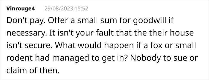 Cat Breaks Into Neighbor’s New Home, They Are Furious And Ask For $2,000 Cat Breaks Into Neighbor’s New Home, They Are Furious And Ask For $2,000