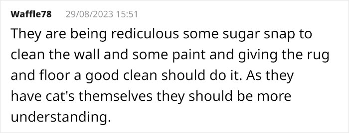 Cat Breaks Into Neighbor’s New Home, They Are Furious And Ask For $2,000 Cat Breaks Into Neighbor’s New Home, They Are Furious And Ask For $2,000