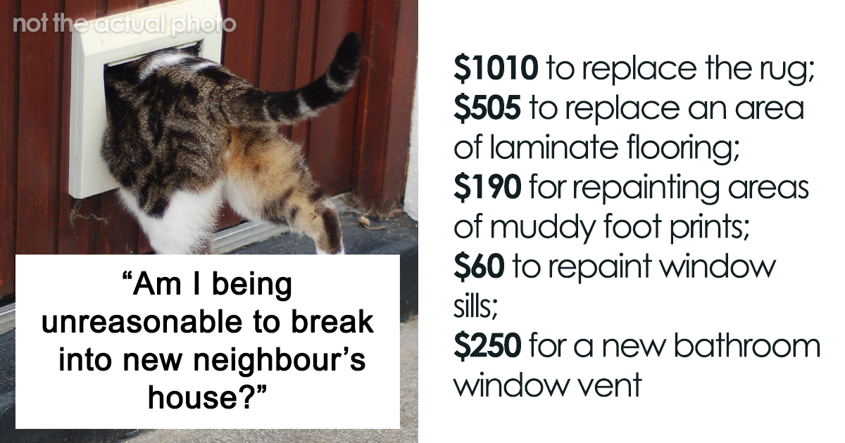 Cat Breaks Into Neighbor’s New Home, They Are Furious And Ask For