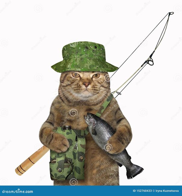 cat-fisher-holds-caught-fish-cat-fisher-uniform-fishing-rod-bag-holding-fish-white-background-isolated-152760433.jpg
