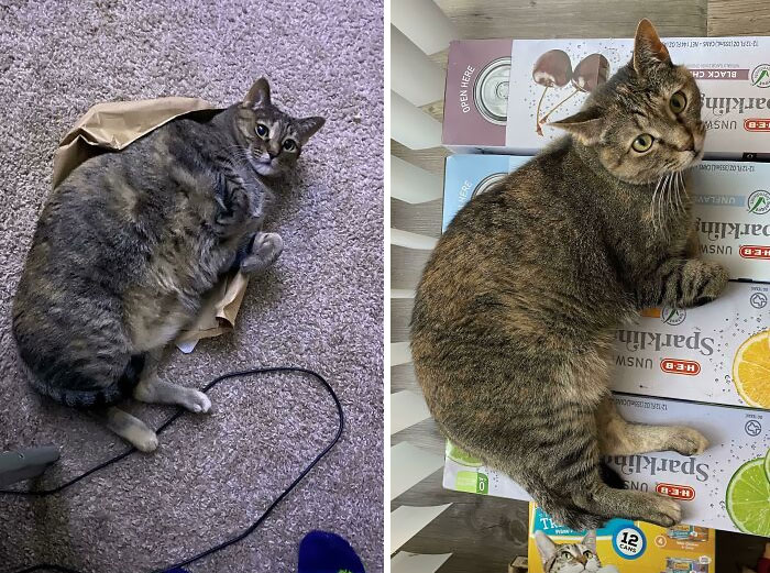 My 12-Year-Old Girl Weighed 13 Lbs Last November. Now She’s Less Than 10 Lbs