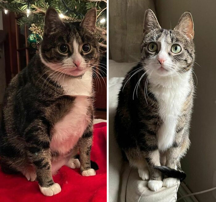 Ivy’s Weight Loss Journey. It Was A Struggle