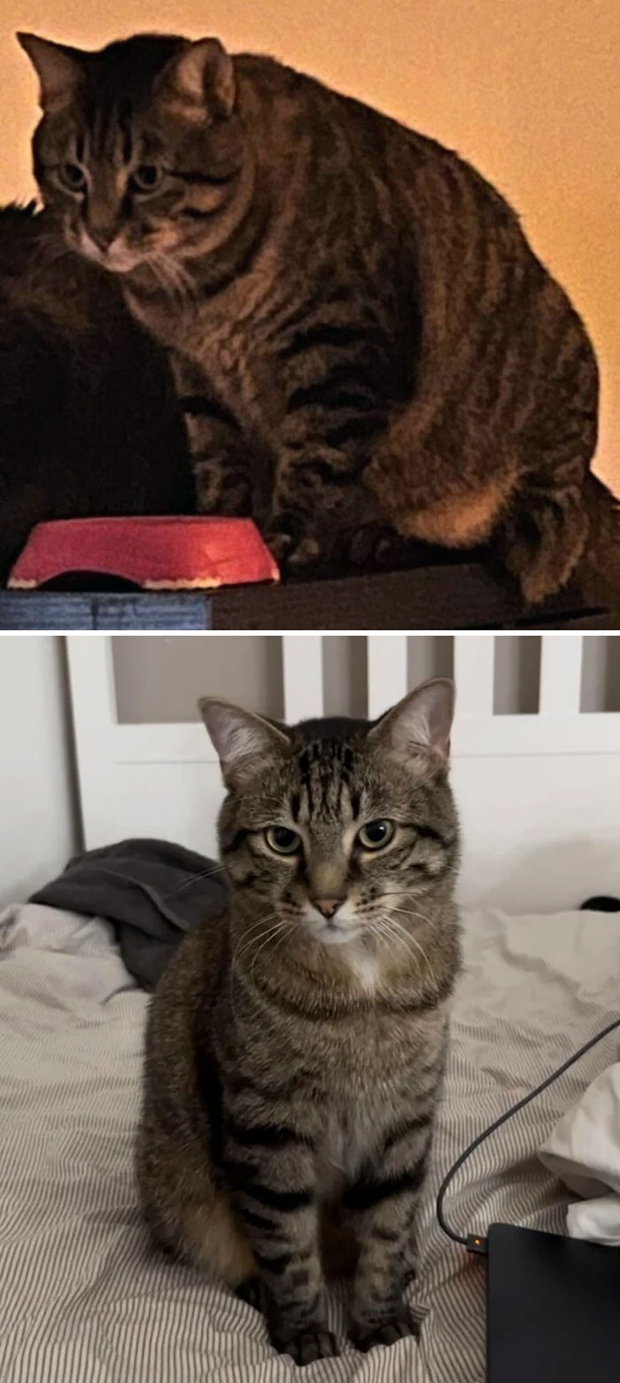 My Baby’s Weight Loss After 1 Year Together