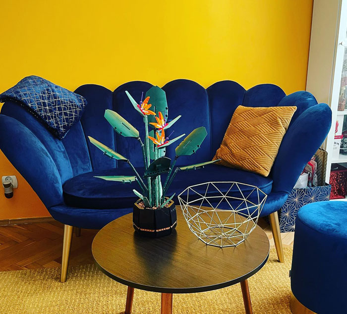 Dark blue scalloped velvet cheap couch with decorative pillows in a bright yellow room next to a wooden table and plant. Dark blue scalloped velvet cheap couch with decorative pillows in a bright yellow room next to a wooden table and plant.