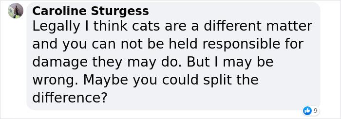 Cat Breaks Into Neighbor’s New Home, They Are Furious And Ask For $2,000 Cat Breaks Into Neighbor’s New Home, They Are Furious And Ask For $2,000