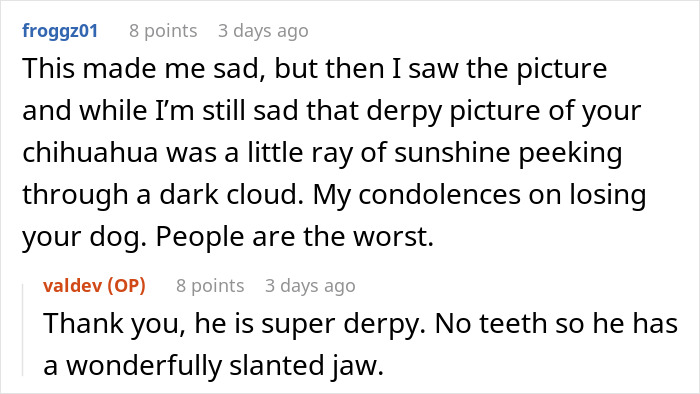 Person Makes Sure Neighbors Never Get To Enjoy Their Yard After They Ruin Dog’s Last Day Outside Person Makes Sure Neighbors Never Get To Enjoy Their Yard After They Ruin Dog’s Last Day Outside