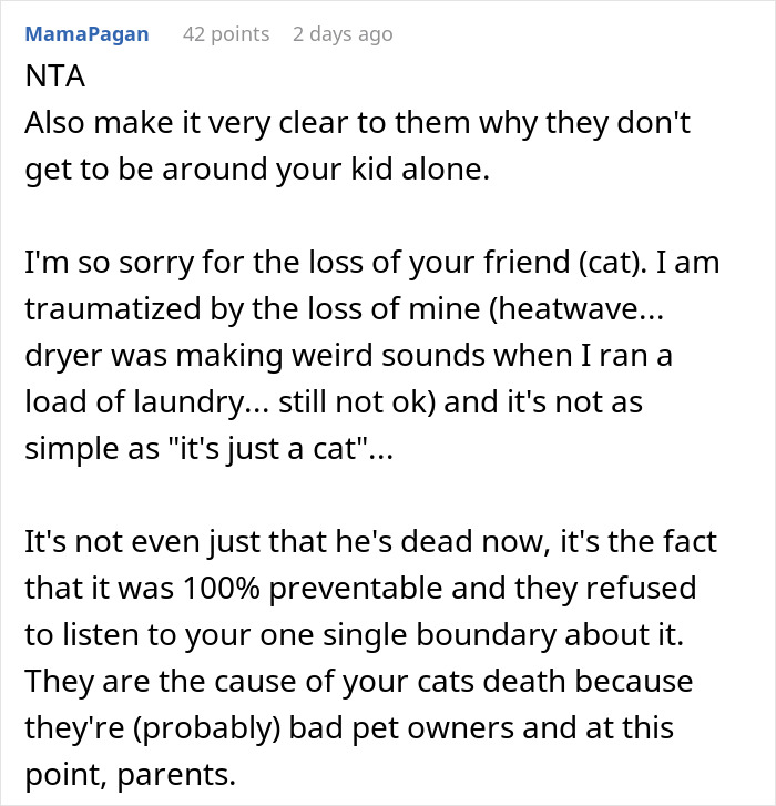 “Oh Stop… It’s Just A Cat”: Woman Bans Parents From Grandkids Following Tragic Pet Incident