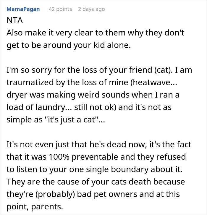 “Oh Stop… It’s Just A Cat”: Woman Bans Parents From Grandkids Following Tragic Pet Incident “Oh Stop… It’s Just A Cat”: Woman Bans Parents From Grandkids Following Tragic Pet Incident