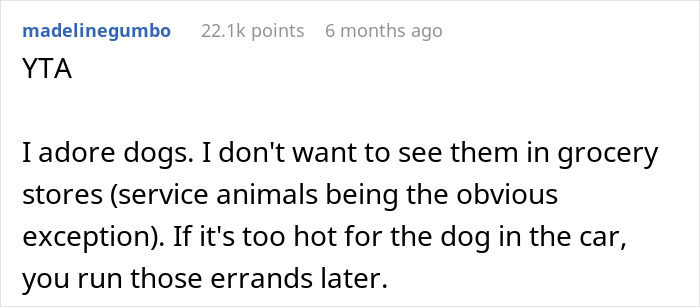 Person Gets Slammed For Taking Their Dog Into The Grocery Store, Vents Online But Finds No Support