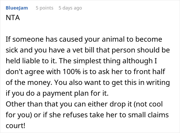 Woman Gets $800 Vet Bill After Her Dog Eats Roommate's Food, Wonders Who's To Blame