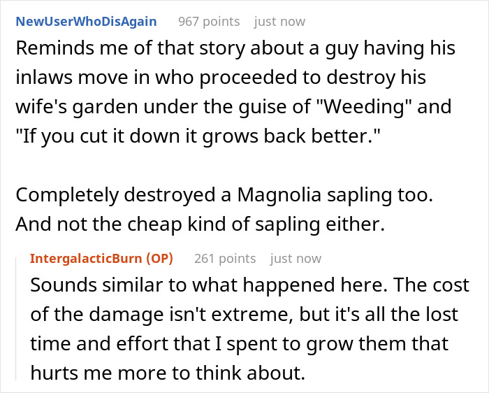Woman Warns Baby's Nanny Not To Touch Her Flower Garden, Finds That Everything Has Been Dug Up Woman Warns Baby's Nanny Not To Touch Her Flower Garden, Finds That Everything Has Been Dug Up