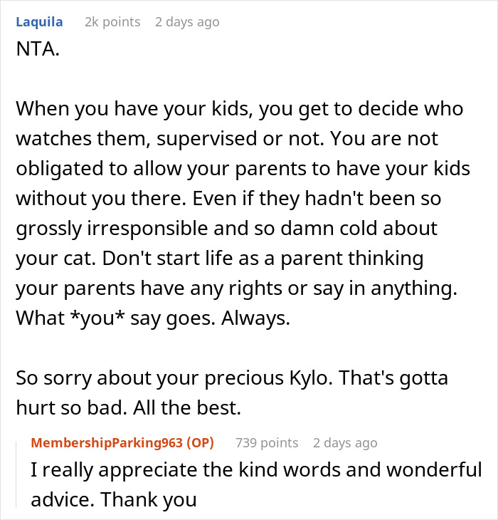 “Oh Stop… It’s Just A Cat”: Woman Bans Parents From Grandkids Following Tragic Pet Incident “Oh Stop… It’s Just A Cat”: Woman Bans Parents From Grandkids Following Tragic Pet Incident