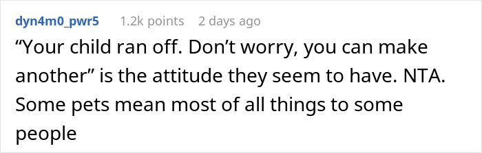 “Oh Stop… It’s Just A Cat”: Woman Bans Parents From Grandkids Following Tragic Pet Incident “Oh Stop… It’s Just A Cat”: Woman Bans Parents From Grandkids Following Tragic Pet Incident