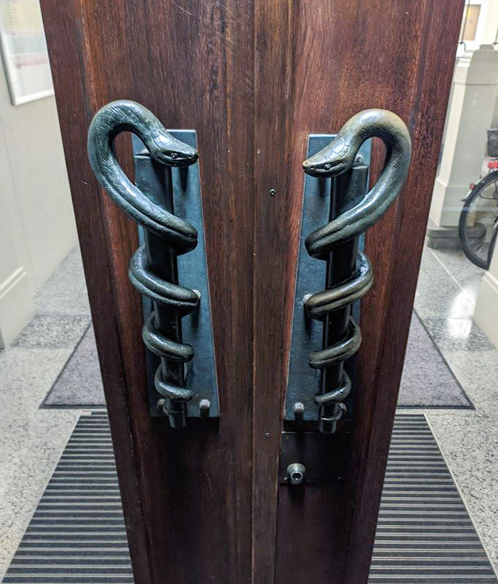 Snake-Shaped Door Handles On A Door To An Anatomical Institute
