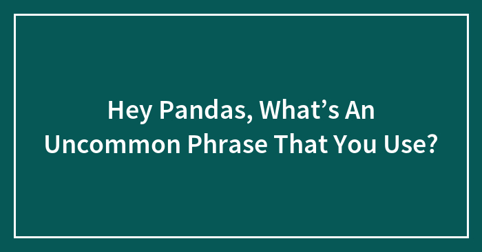 Hey Pandas, What’s An Uncommon Phrase That You Use? (Closed)