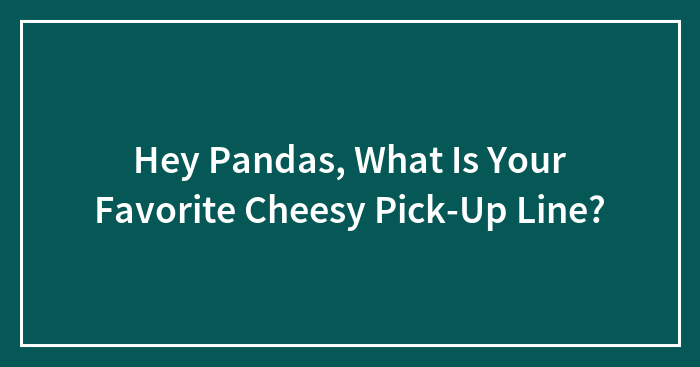 Hey Pandas, What Is Your Favorite Cheesy Pick-Up Line? (Closed)