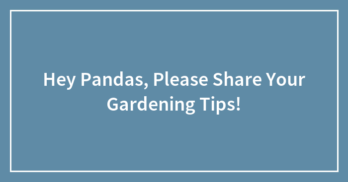 Hey Pandas, Please Share Your Gardening Tips! (Closed)