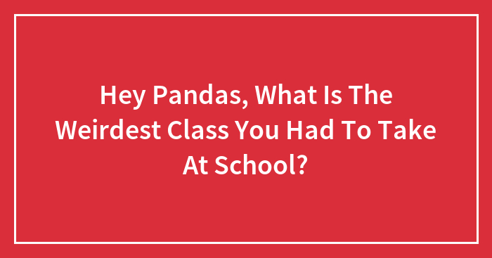 Hey Pandas, What Is The Weirdest Class You Had To Take At School? (Closed)