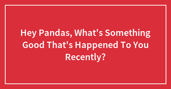 Hey Pandas, What’s Something Good That’s Happened To You Recently? (Closed)