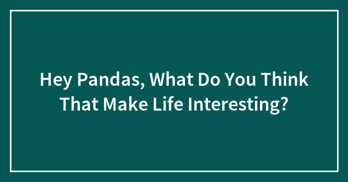 Hey Pandas, What Do You Think Makes Life Interesting?