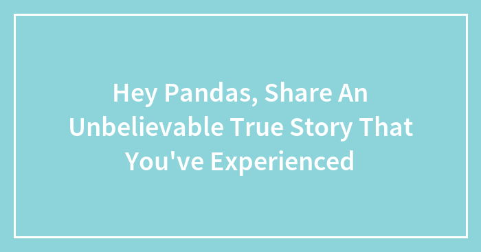 Hey Pandas, Share An Unbelievable True Story That You’ve Experienced