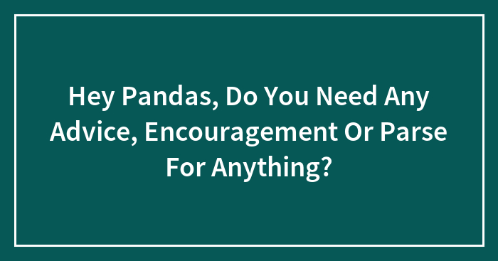 Hey Pandas, Do You Need Any Advice, Encouragement Or Parse For Anything?