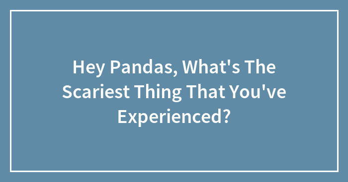 Hey Pandas, What’s The Scariest Thing That You’ve Experienced?