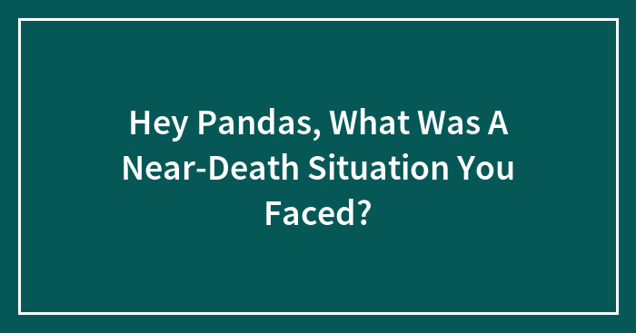 Hey Pandas, What Was A Near-Death Situation You Faced? (Closed)