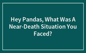 Hey Pandas, What Was A Near-Death Situation You Faced?