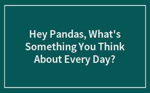 Hey Pandas, What's Something You Think About Every Day?