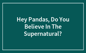 Hey Pandas, Do You Believe In The Supernatural?