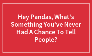Hey Pandas, What's Something You've Never Had A Chance To Tell People?