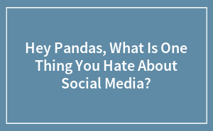 Hey Pandas, What Is One Thing You Hate About Social Media?