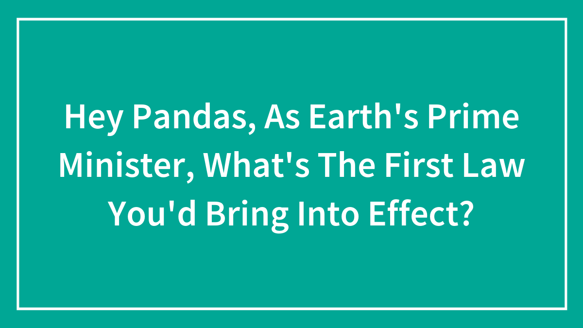Hey Pandas, As Earth’s Prime Minister, What’s The First Law You’d Bring Into Effect? (Closed)